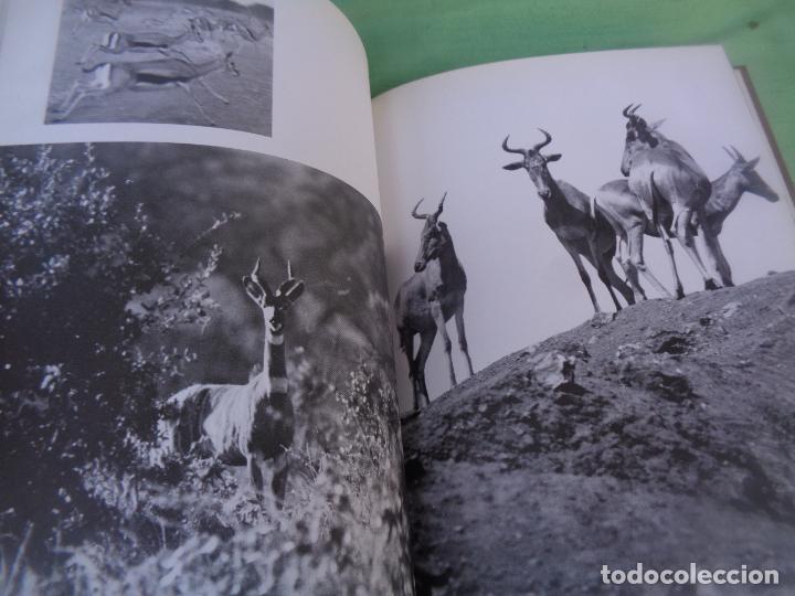 Libros de segunda mano: EL GRAN LIBRO DE LA CAZA, 3 TOMOS - Foto 7