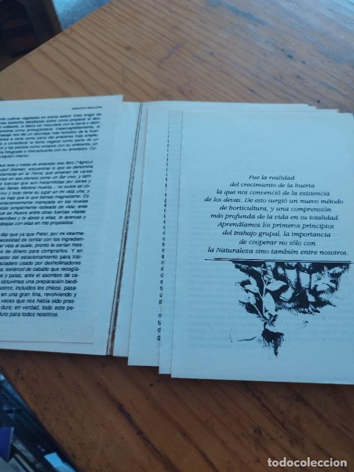 Libros de segunda mano: Comunicaci&oacute;n con los &Aacute;ngeles y los Devas / Dorothy MacLean. - Foto 9