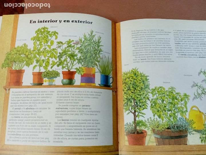 Libros de segunda mano: La ventana verde , Hierbas arom&aacute;ticas - ediciones altea - EI1 - Foto 2