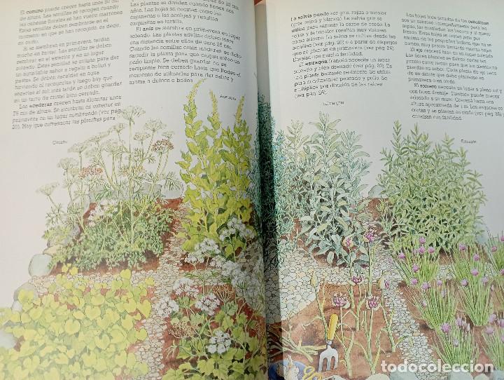 Libros de segunda mano: La ventana verde , Hierbas arom&aacute;ticas - ediciones altea - EI1 - Foto 3