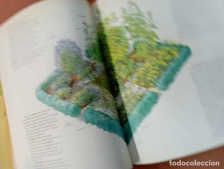 Libros de segunda mano: La ventana verde , Hierbas arom&aacute;ticas - ediciones altea - EI1 - Foto 4