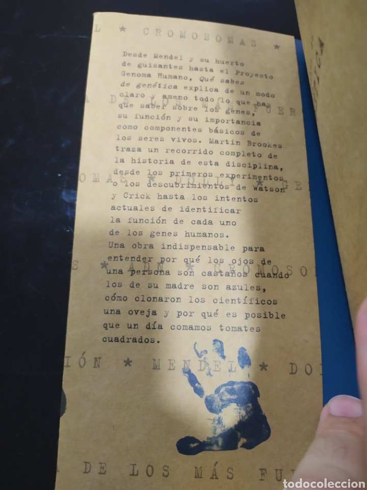 Libros de segunda mano: Qu&eacute; sabes de gen&eacute;tica. Martin Brookes - Foto 5
