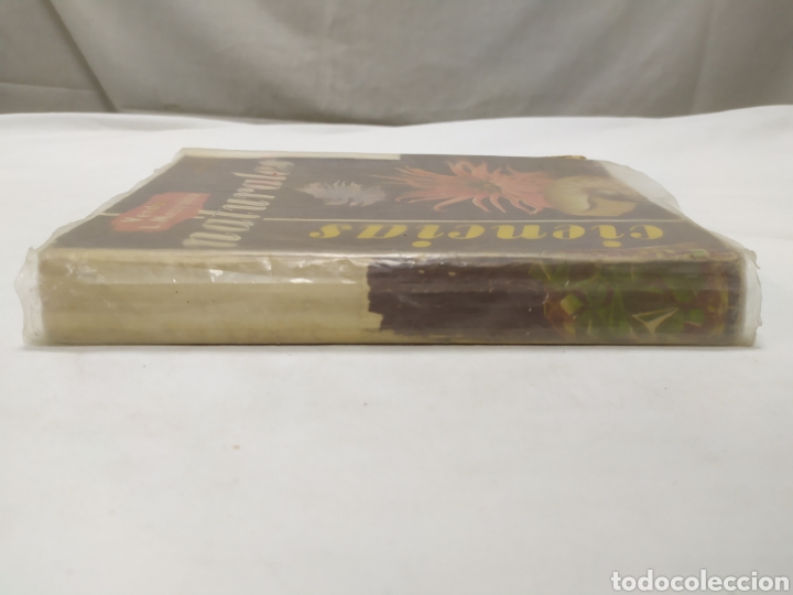 Libros de segunda mano: Ciencias naturales, ECIR, 1963 - Foto 2