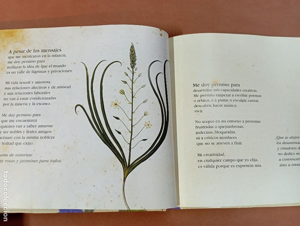 Libros de segunda mano: Me doy permiso para ... - Joaquin Argente - AJB - Foto 2