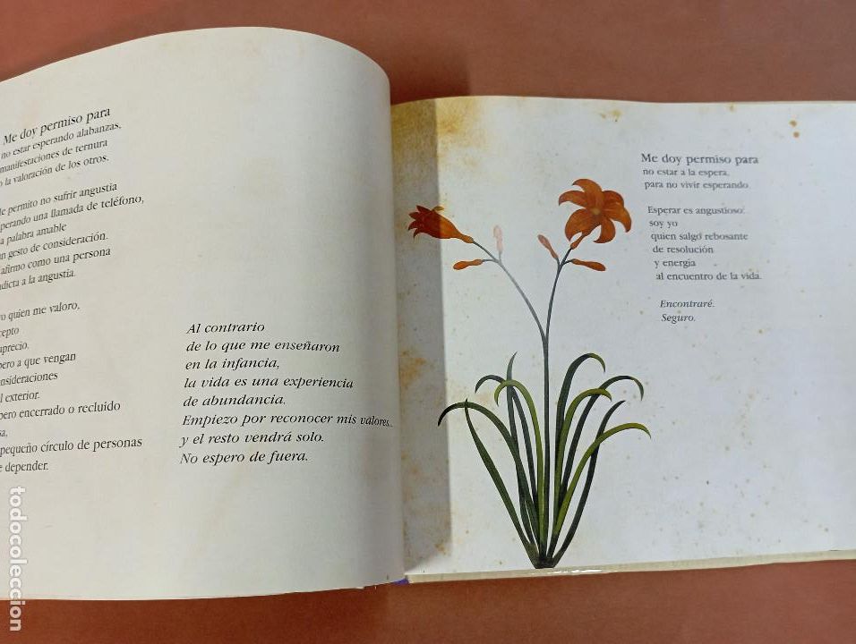 Libros de segunda mano: Me doy permiso para ... - Joaquin Argente - AJB - Foto 3