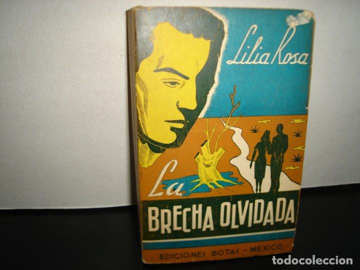 Libros de segunda mano: 171- LA BRECHA OLVIDADA - LILIA ROSA - EDICIONES BOTAS - 1949 - Foto 1