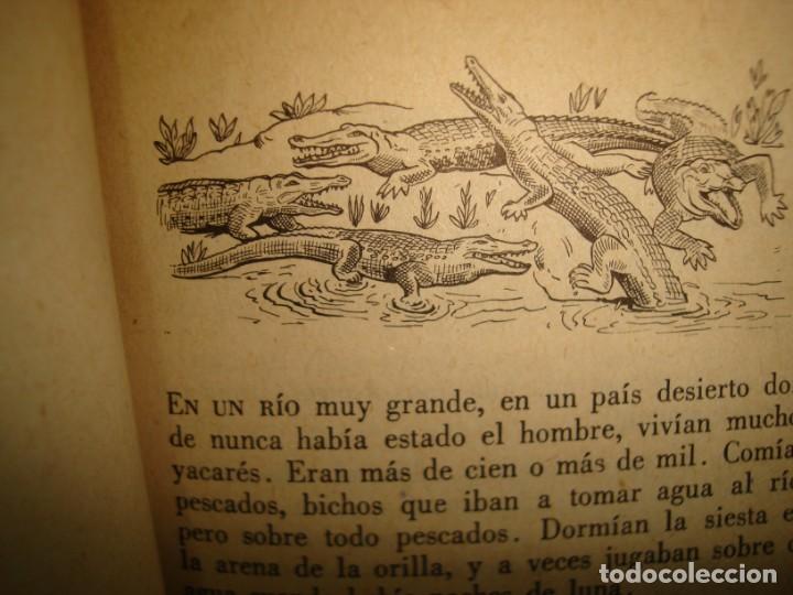 Libros de segunda mano: 31- CUENTOS DE LA SELVA. HORACIO QUIROGA - Foto 9