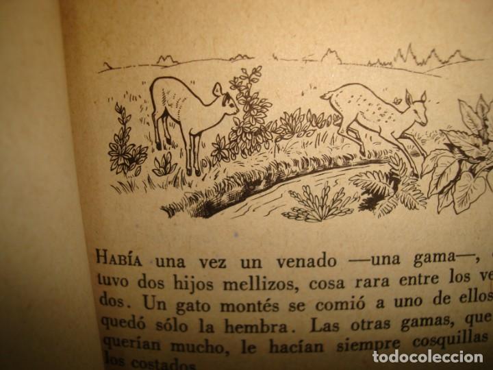 Libros de segunda mano: 31- CUENTOS DE LA SELVA. HORACIO QUIROGA - Foto 10