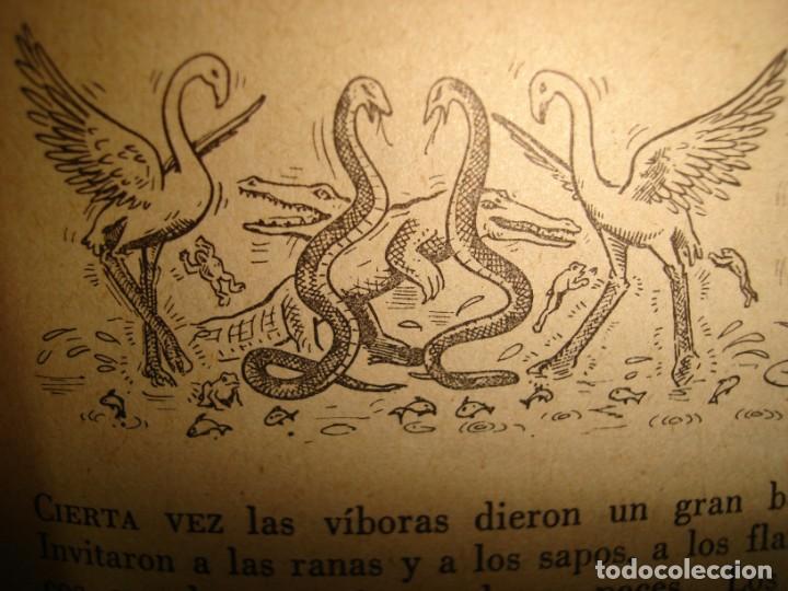 Libros de segunda mano: 31- CUENTOS DE LA SELVA. HORACIO QUIROGA - Foto 13