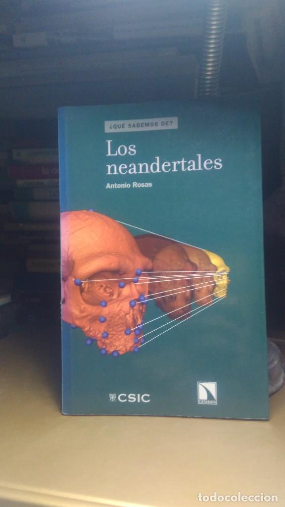 Libros de segunda mano: LOS NEANDERTALES, ANTONIO ROSAS, ED. CSIC - Foto 1