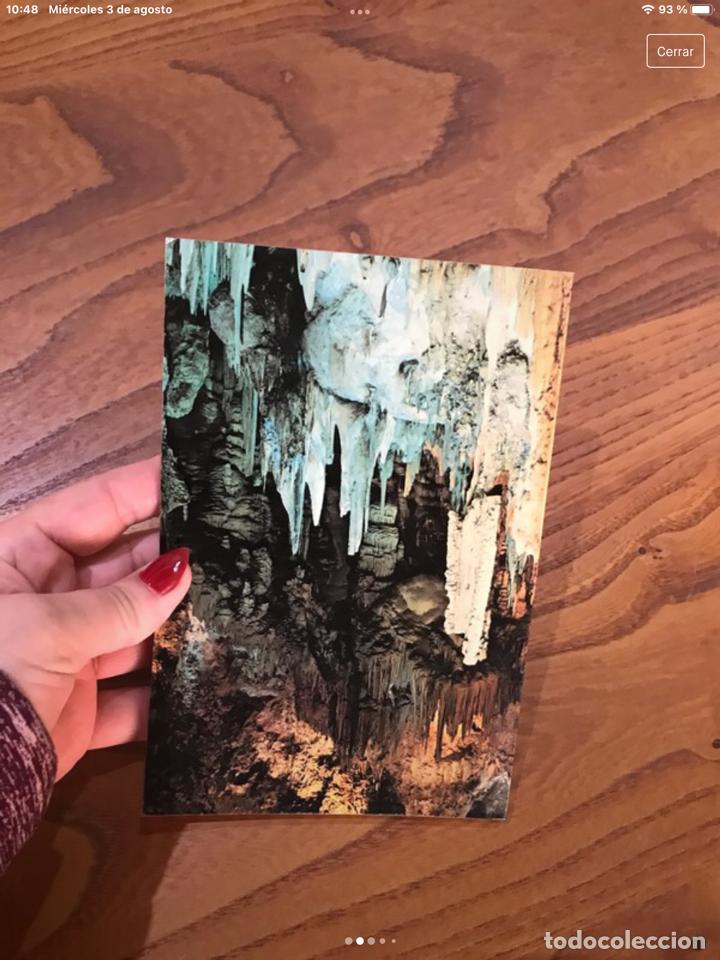 Libros de segunda mano: Libro, La cueva de Nerja. - Foto 2