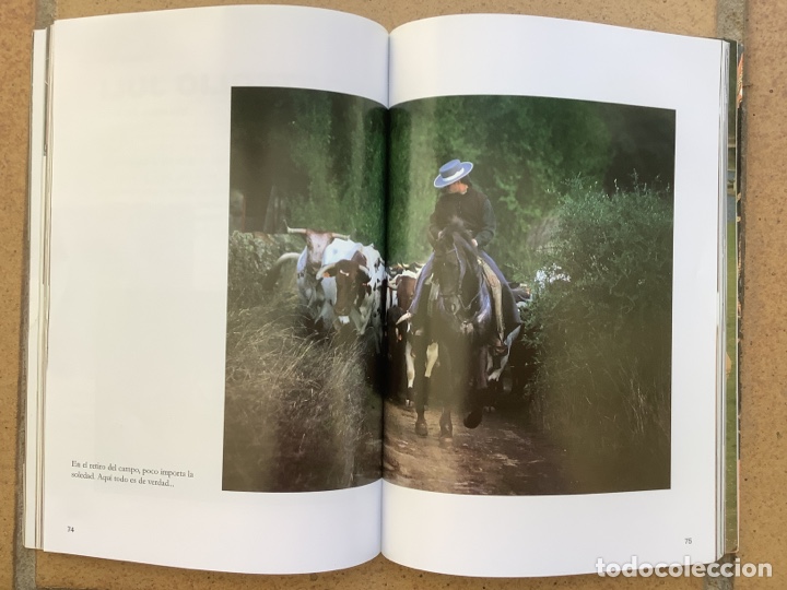 Libros de segunda mano: EL JULI. CUADERNOS DE TAUROMAQUIA, N&deg; 2. Junio 2006 - Foto 4