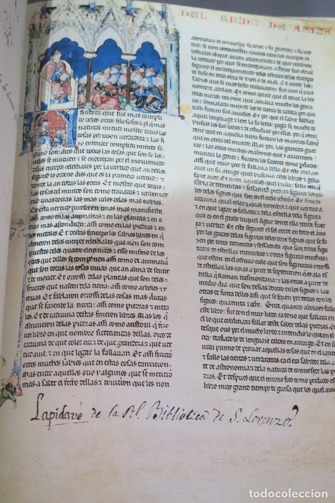 Libros de segunda mano: PRIMER LAPIDARIO DEL REY ALFONSO X EL SABIO. FACS&Iacute;MIL. 1500 EJEMPLARES - Foto 2
