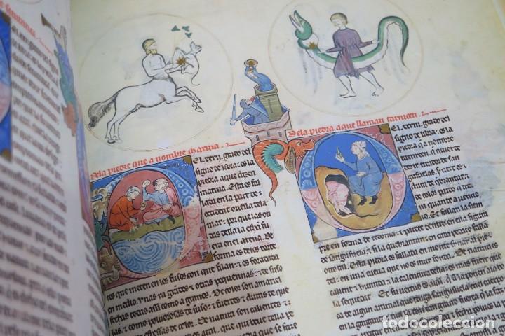 Libros de segunda mano: PRIMER LAPIDARIO DEL REY ALFONSO X EL SABIO. FACS&Iacute;MIL. 1500 EJEMPLARES - Foto 6