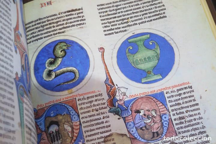 Libros de segunda mano: PRIMER LAPIDARIO DEL REY ALFONSO X EL SABIO. FACS&Iacute;MIL. 1500 EJEMPLARES - Foto 7