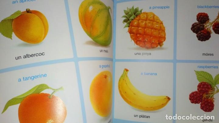 Libros de segunda mano: Diccionari en imatges Catal&agrave;-Angl&egrave;s - Editions Fleurus Panini Espa&ntilde;a 2&ordf; edici&oacute; setembre 2002 - Foto 13