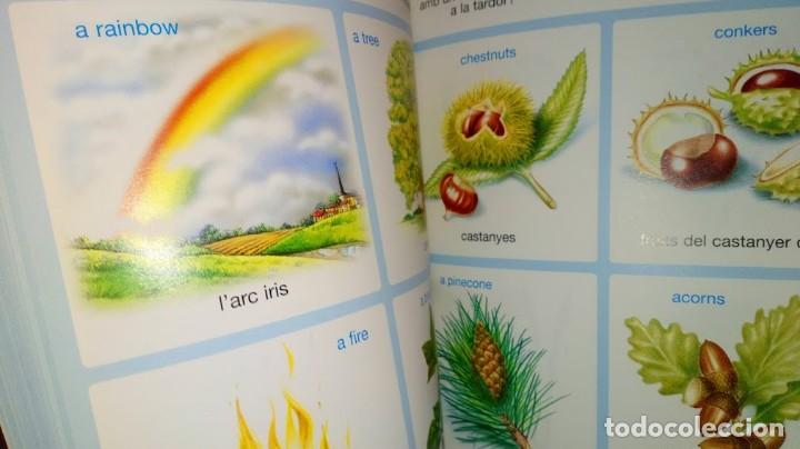 Libros de segunda mano: Diccionari en imatges Catal&agrave;-Angl&egrave;s - Editions Fleurus Panini Espa&ntilde;a 2&ordf; edici&oacute; setembre 2002 - Foto 17