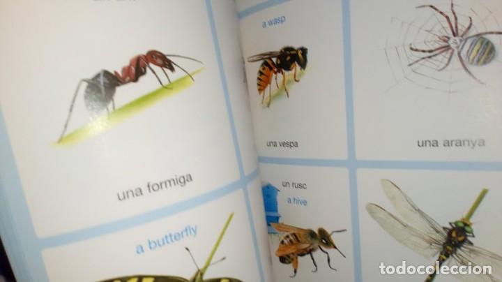 Libros de segunda mano: Diccionari en imatges Catal&agrave;-Angl&egrave;s - Editions Fleurus Panini Espa&ntilde;a 2&ordf; edici&oacute; setembre 2002 - Foto 19