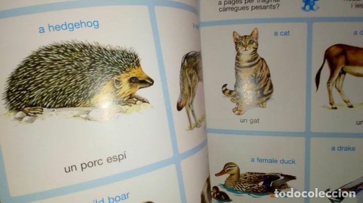 Libros de segunda mano: Diccionari en imatges Catal&agrave;-Angl&egrave;s - Editions Fleurus Panini Espa&ntilde;a 2&ordf; edici&oacute; setembre 2002 - Foto 20