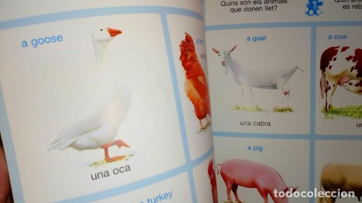Libros de segunda mano: Diccionari en imatges Catal&agrave;-Angl&egrave;s - Editions Fleurus Panini Espa&ntilde;a 2&ordf; edici&oacute; setembre 2002 - Foto 21