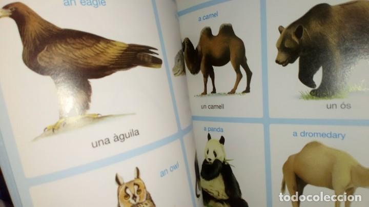 Libros de segunda mano: Diccionari en imatges Catal&agrave;-Angl&egrave;s - Editions Fleurus Panini Espa&ntilde;a 2&ordf; edici&oacute; setembre 2002 - Foto 22