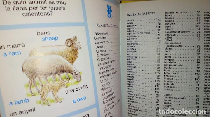 Libros de segunda mano: Diccionari en imatges Catal&agrave;-Angl&egrave;s - Editions Fleurus Panini Espa&ntilde;a 2&ordf; edici&oacute; setembre 2002 - Foto 23