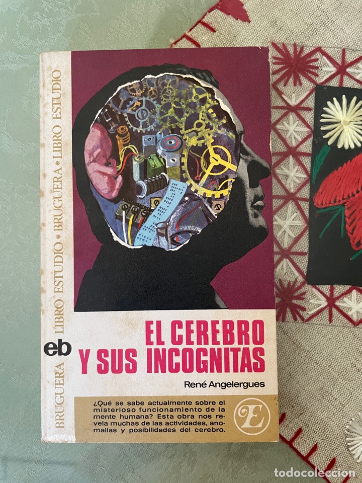 Libros de segunda mano: El cerebro y sus inc&oacute;gnitas - Foto 1