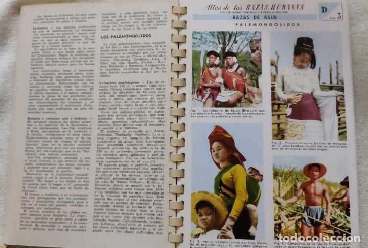 Libros de segunda mano: ATLAS DE LAS RAZAS HUMANAS. - Foto 4