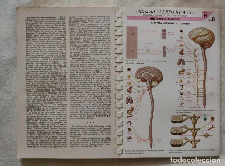 Libros de segunda mano: ATLAS DEL CUERPO HUMANO. - Foto 4
