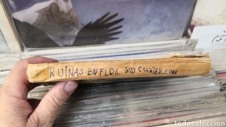 Libros de segunda mano: Ruinas en flor, guy chantepleure, 1929 - Foto 2