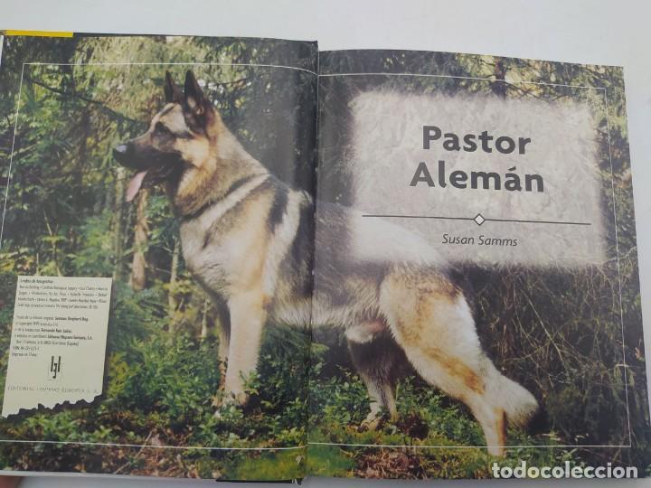 Libros de segunda mano: PASTOR ALEMAN. ED. HISPANO EUROPEA. S.SAMS. 1999. - Foto 2