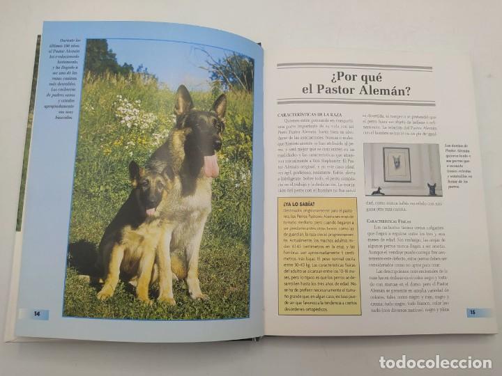 Libros de segunda mano: PASTOR ALEMAN. ED. HISPANO EUROPEA. S.SAMS. 1999. - Foto 3