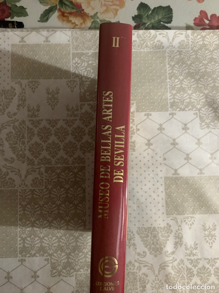 Libros de segunda mano: Museo de Bellas Artes de Sevilla. 2 tomos con caja. - Foto 20