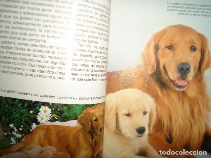Libros de segunda mano: 35- EL GOLDEN RETRIEVER - JAMES E. WALSH JR. - Foto 5