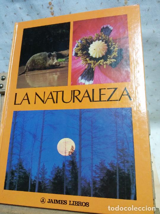 Libros de segunda mano: LA NATURALEZA. MAX A. WYSS. JAIMES LIBROS - Foto 1