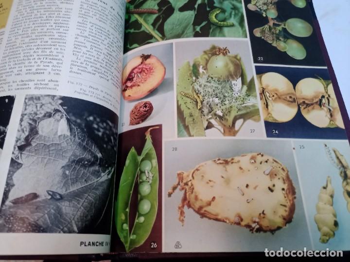 Libros de segunda mano: Table des Matiers (franc&eacute;s) SA10596 - Foto 3
