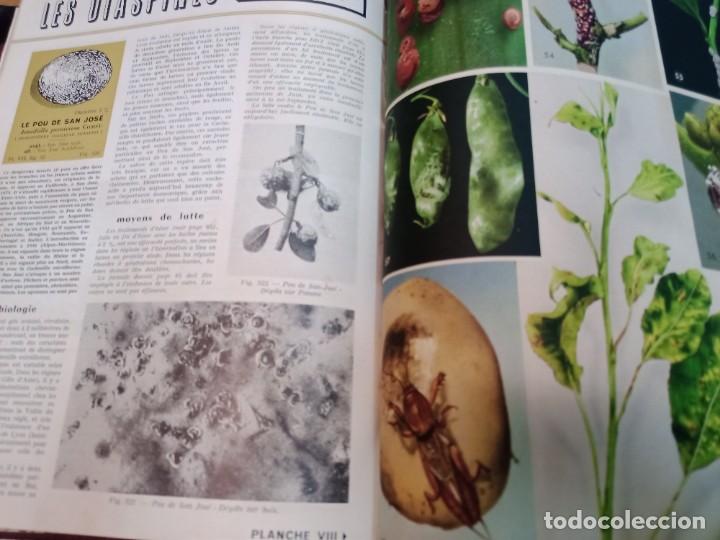 Libros de segunda mano: Table des Matiers (franc&eacute;s) SA10596 - Foto 4