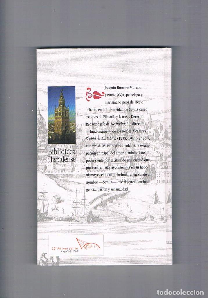Libros de segunda mano: Sevilla en los labios Joaquin Romero Murube biblioteca hispalense abc 2001 **- - Foto 2