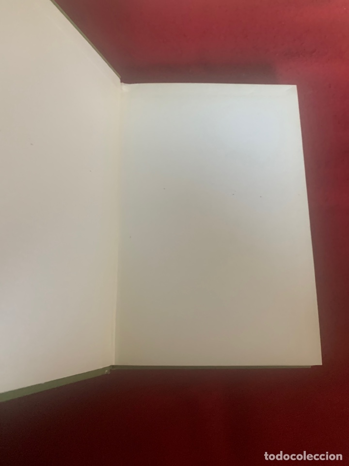 Libros de segunda mano: El poder m&aacute;gico de las pir&aacute;mides. Max Toth y Greg Nielsen. Traducci&oacute;n de J. A. Bravo. - Foto 4