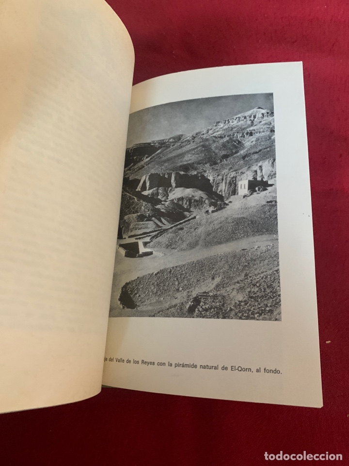 Libros de segunda mano: El poder m&aacute;gico de las pir&aacute;mides. Max Toth y Greg Nielsen. Traducci&oacute;n de J. A. Bravo. - Foto 13