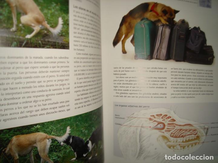 Libros de segunda mano: 1- MANUAL PARA EL CUIDADO DEL PERRO - GRAHAM MEADOWS - Foto 5