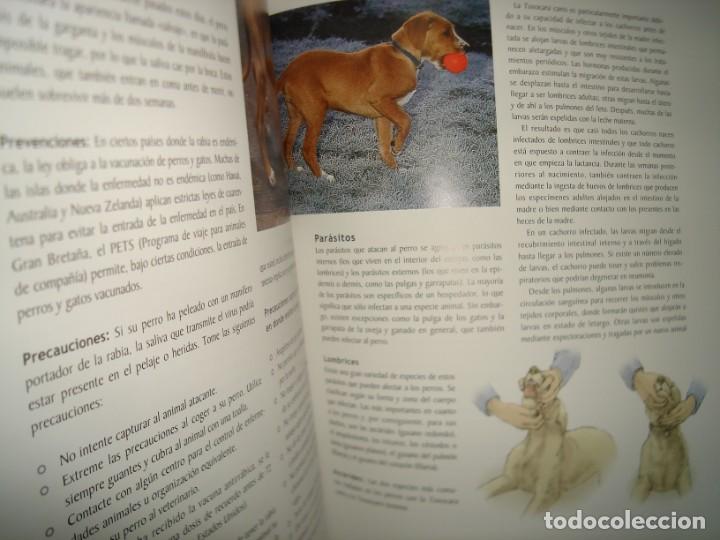 Libros de segunda mano: 1- MANUAL PARA EL CUIDADO DEL PERRO - GRAHAM MEADOWS - Foto 6
