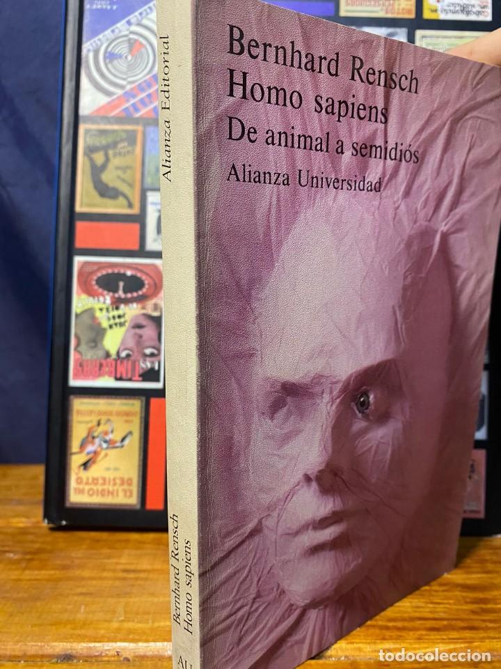 Libros de segunda mano: Bernhard Rensch - Homo Sapiens - 1980 - Foto 2