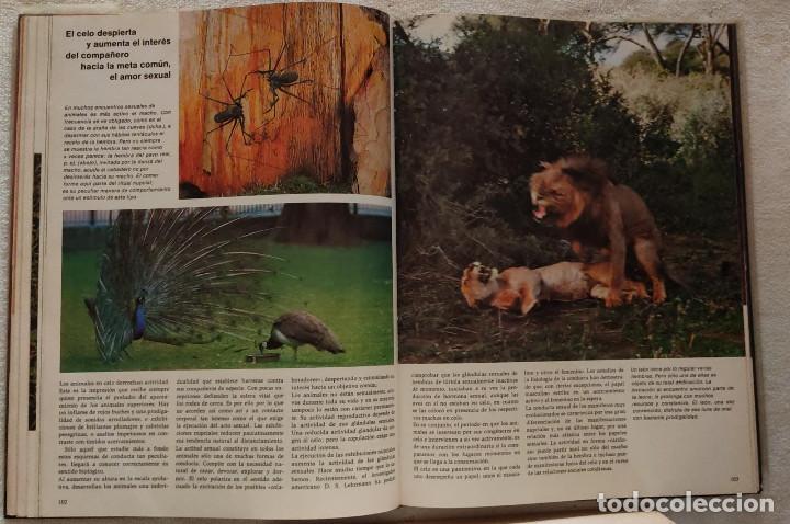 Libros de segunda mano: LA VIDA. - Foto 3