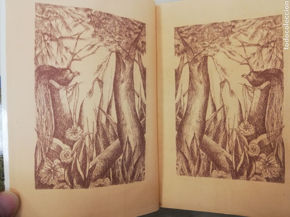 Libros de segunda mano: FERREIRA DE CASTRO - AGUILAR - Foto 2