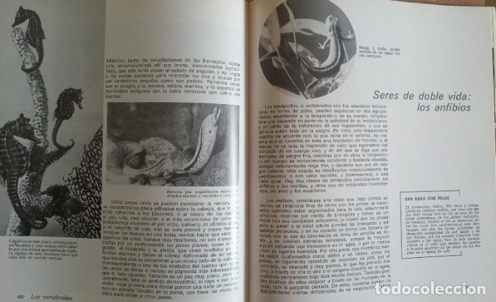 Libros de segunda mano: HISTORIA NATURAL ILUSTRADA SOPENA - Foto 2