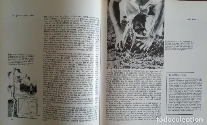 Libros de segunda mano: HISTORIA NATURAL ILUSTRADA SOPENA - Foto 3