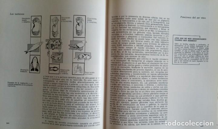 Libros de segunda mano: HISTORIA NATURAL ILUSTRADA SOPENA - Foto 4
