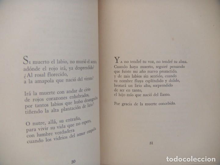 Libros de segunda mano: Aurora Venturini: LAMENTACION MAYOR. Primera edicion - Foto 4