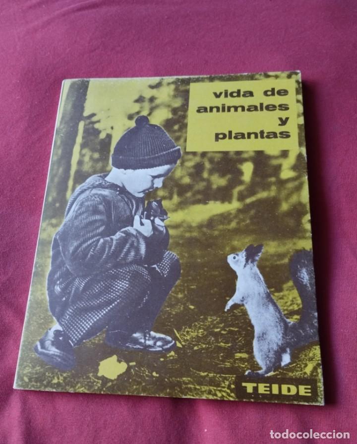 Libros de segunda mano: Libro Animales y plantas editorial Teide 1963 - Foto 1